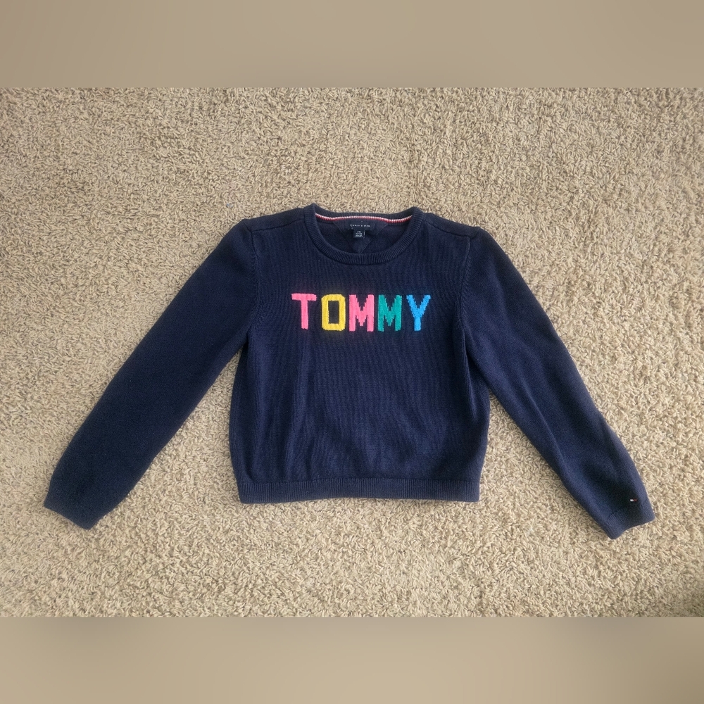 Tommy Hilfiger Navy Sweater with Multicolor Logo